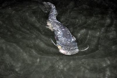 Pescuit :) - aaa2.jpg